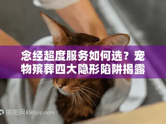念经超度服务如何选？宠物殡葬四大隐形陷阱揭露