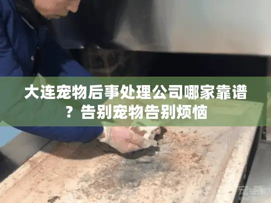 大连宠物后事处理公司哪家靠谱？告别宠物告别烦恼