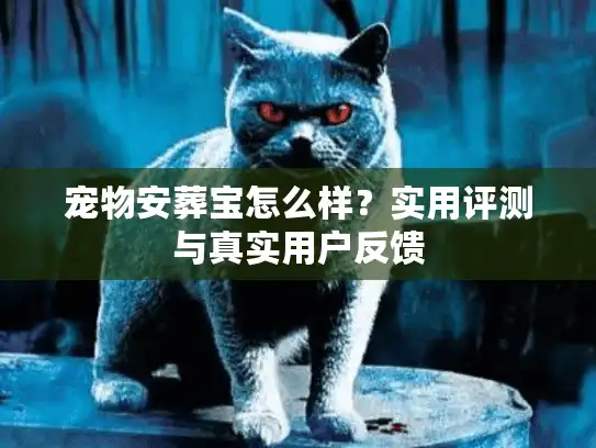 宠物安葬宝怎么样？实用评测与真实用户反馈