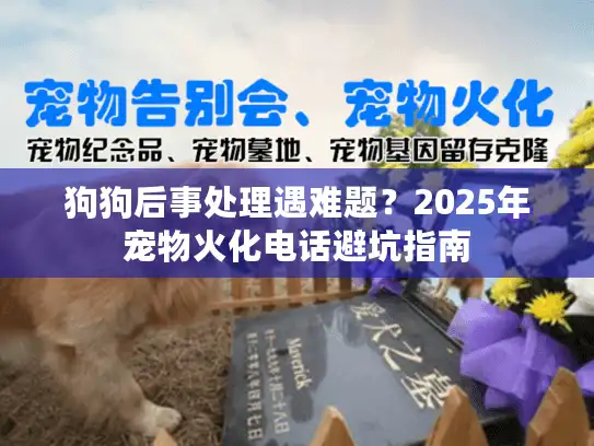 狗狗后事处理遇难题？2025年宠物火化电话避坑指南