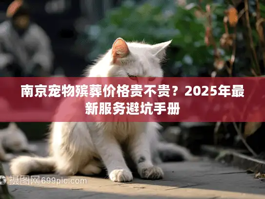 南京宠物殡葬价格贵不贵？2025年最新服务避坑手册