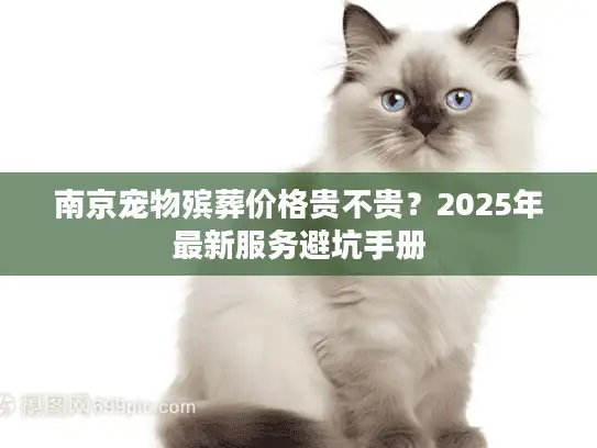 南京宠物殡葬价格贵不贵？2025年最新服务避坑手册