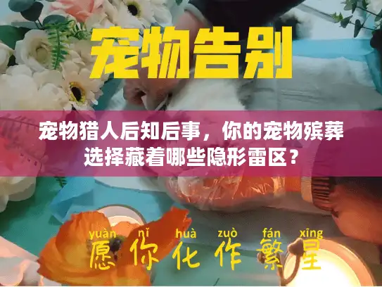 宠物猎人后知后事，你的宠物殡葬选择藏着哪些隐形雷区？