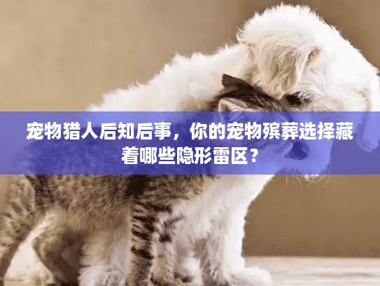 宠物猎人后知后事，你的宠物殡葬选择藏着哪些隐形雷区？