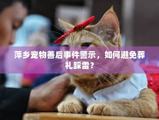 萍乡宠物善后事件警示，如何避免葬礼踩雷？