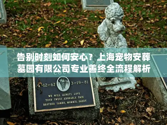 告别时刻如何安心？上海宠物安葬墓园有限公司专业善终全流程解析