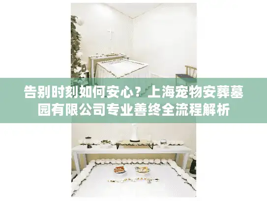 告别时刻如何安心？上海宠物安葬墓园有限公司专业善终全流程解析