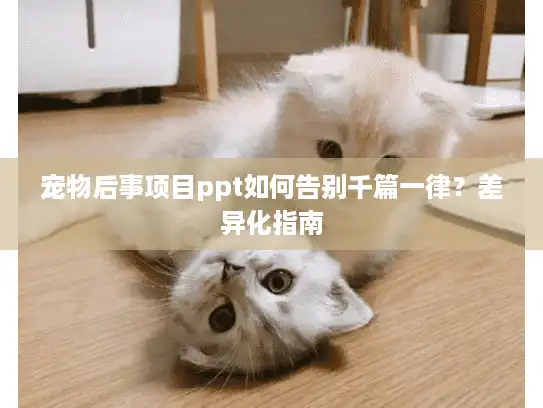 宠物后事项目ppt如何告别千篇一律？差异化指南