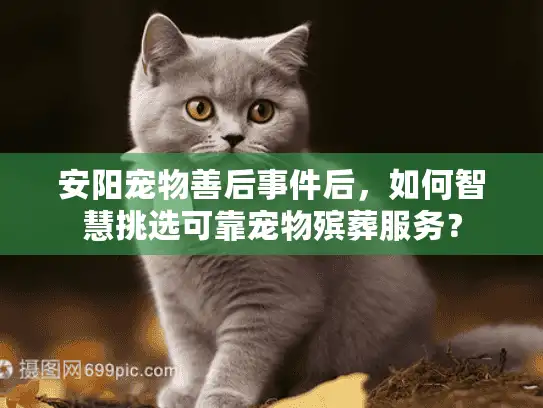 安阳宠物善后事件后，如何智慧挑选可靠宠物殡葬服务？