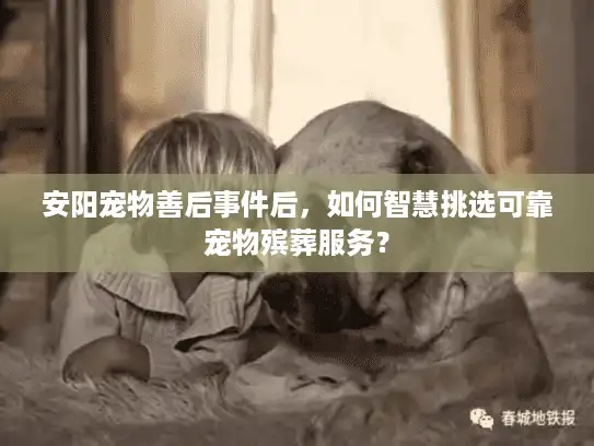 安阳宠物善后事件后，如何智慧挑选可靠宠物殡葬服务？