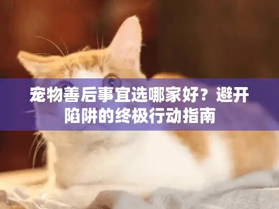 宠物善后事宜选哪家好？避开陷阱的终极行动指南