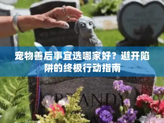 宠物善后事宜选哪家好？避开陷阱的终极行动指南
