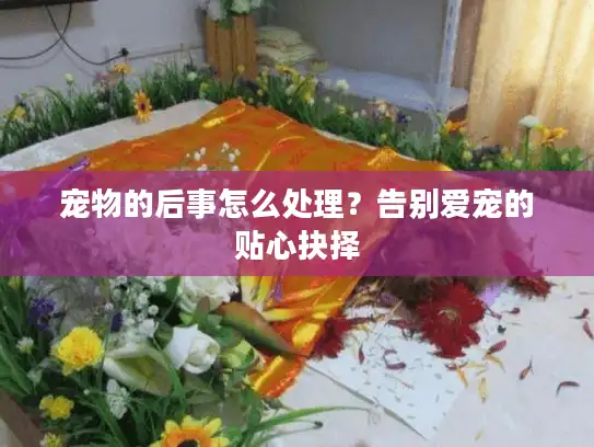 宠物的后事怎么处理？告别爱宠的贴心抉择