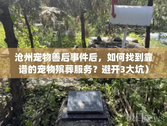 沧州宠物善后事件后，如何找到靠谱的宠物殡葬服务？避开3大坑）