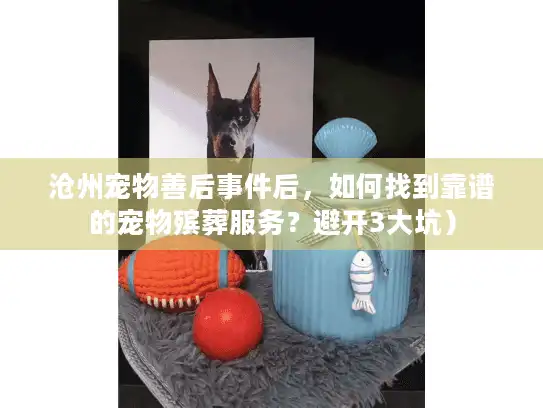 沧州宠物善后事件后，如何找到靠谱的宠物殡葬服务？避开3大坑）