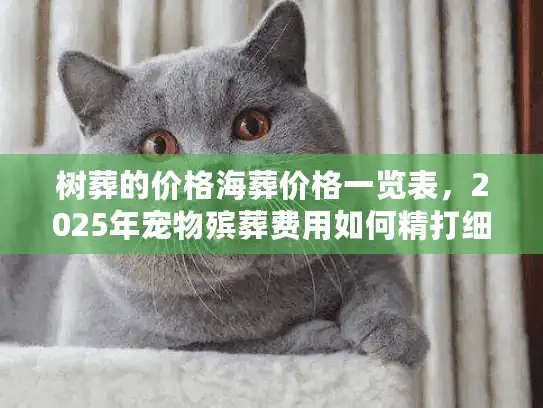 树葬的价格海葬价格一览表，2025年宠物殡葬费用如何精打细算？