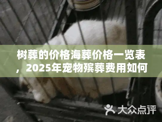 树葬的价格海葬价格一览表，2025年宠物殡葬费用如何精打细算？