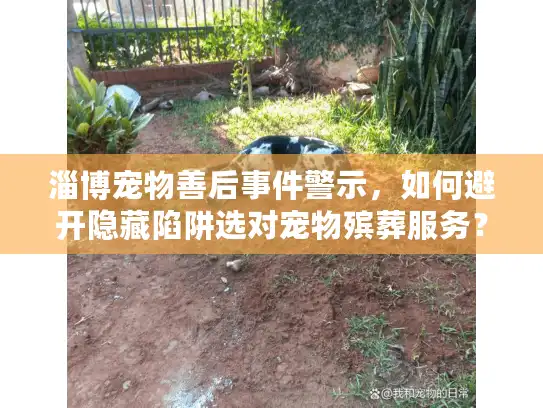 淄博宠物善后事件警示，如何避开隐藏陷阱选对宠物殡葬服务？