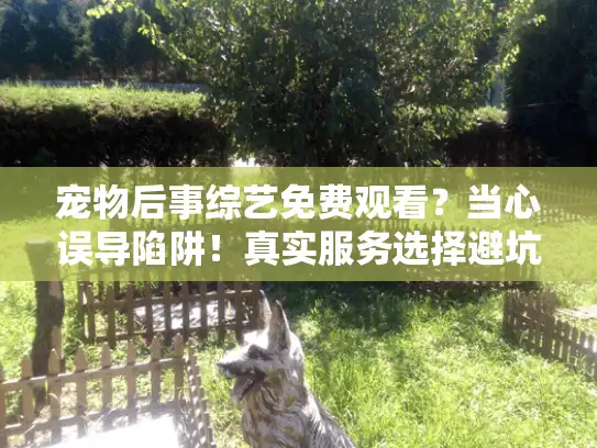 宠物后事综艺免费观看？当心误导陷阱！真实服务选择避坑指南
