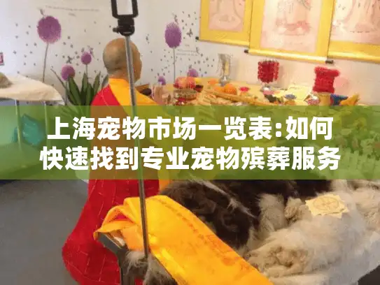 上海宠物市场一览表:如何快速找到专业宠物殡葬服务？