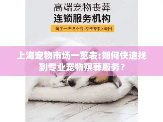 上海宠物市场一览表:如何快速找到专业宠物殡葬服务？