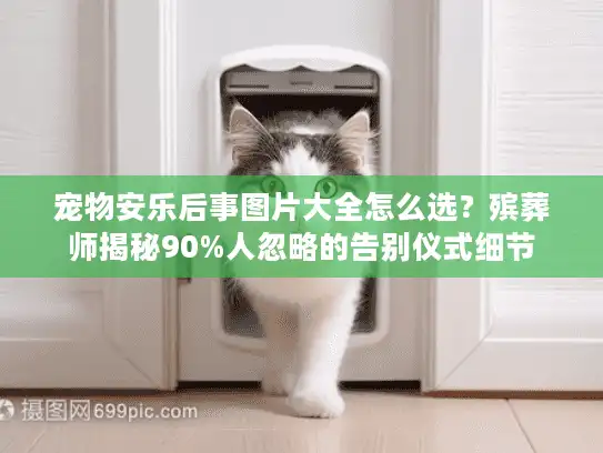 宠物安乐后事图片大全怎么选？殡葬师揭秘90%人忽略的告别仪式细节