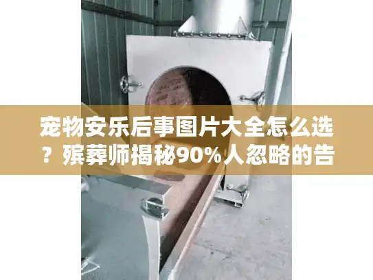 宠物安乐后事图片大全怎么选？殡葬师揭秘90%人忽略的告别仪式细节