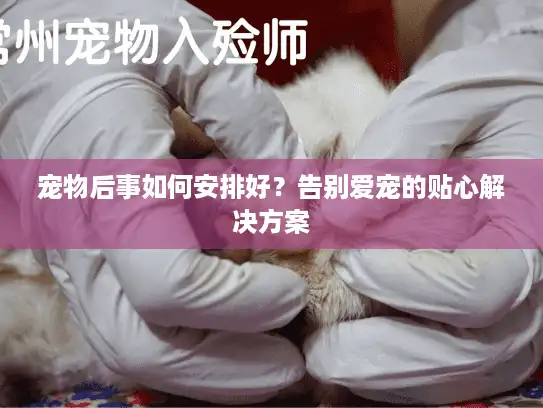 宠物后事如何安排好？告别爱宠的贴心解决方案