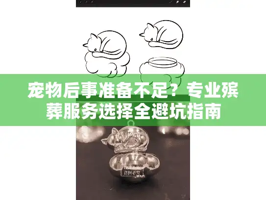宠物后事准备不足？专业殡葬服务选择全避坑指南