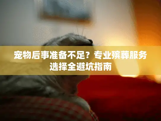 宠物后事准备不足？专业殡葬服务选择全避坑指南
