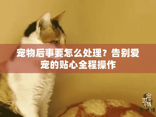宠物后事要怎么处理？告别爱宠的贴心全程操作
