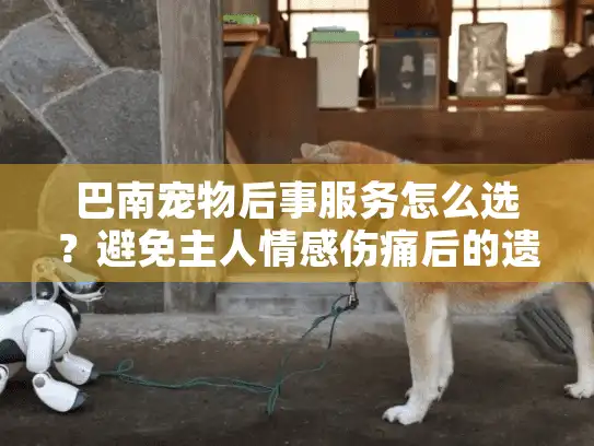 巴南宠物后事服务怎么选？避免主人情感伤痛后的遗憾