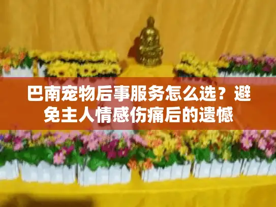 巴南宠物后事服务怎么选？避免主人情感伤痛后的遗憾
