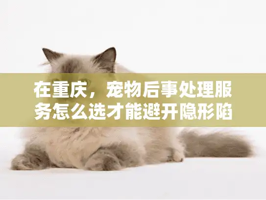 在重庆，宠物后事处理服务怎么选才能避开隐形陷阱？