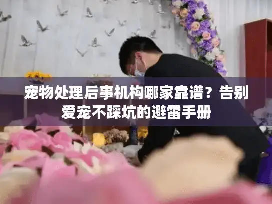宠物处理后事机构哪家靠谱？告别爱宠不踩坑的避雷手册