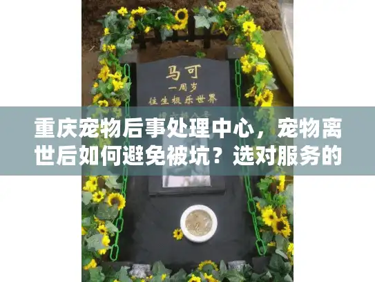 重庆宠物后事处理中心，宠物离世后如何避免被坑？选对服务的关键秘籍