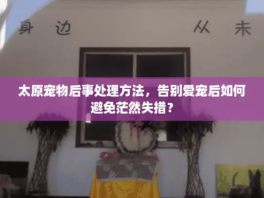 太原宠物后事处理方法，告别爱宠后如何避免茫然失措？