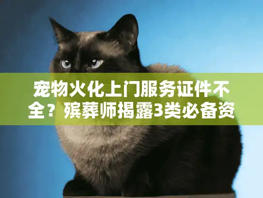 宠物火化上门服务证件不全？殡葬师揭露3类必备资质避坑