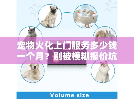 宠物火化上门服务多少钱一个月？别被模糊报价坑了，2025年省钱攻略大公开
