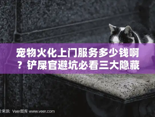 宠物火化上门服务多少钱啊？铲屎官避坑必看三大隐藏收费！