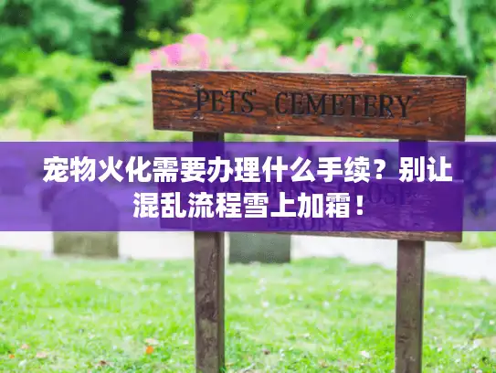 宠物火化需要办理什么手续？别让混乱流程雪上加霜！