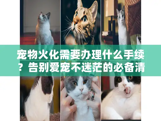 宠物火化需要办理什么手续？告别爱宠不迷茫的必备清单