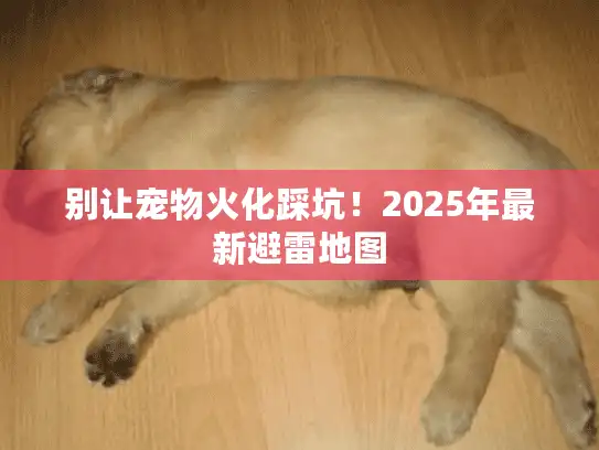 别让宠物火化踩坑！2025年最新避雷地图