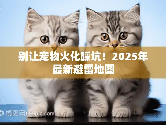 别让宠物火化踩坑！2025年最新避雷地图