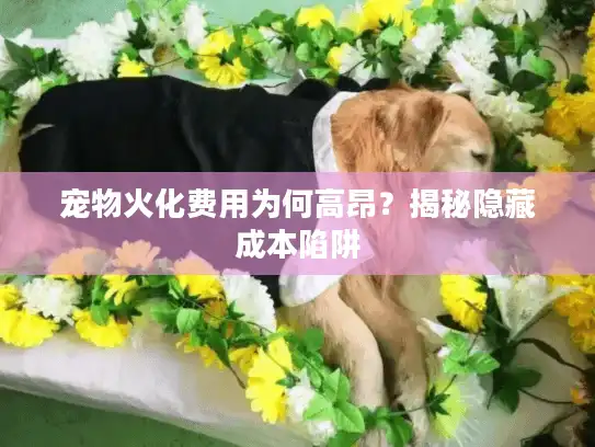 宠物火化费用为何高昂？揭秘隐藏成本陷阱