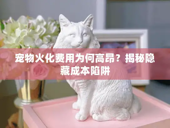 宠物火化费用为何高昂？揭秘隐藏成本陷阱
