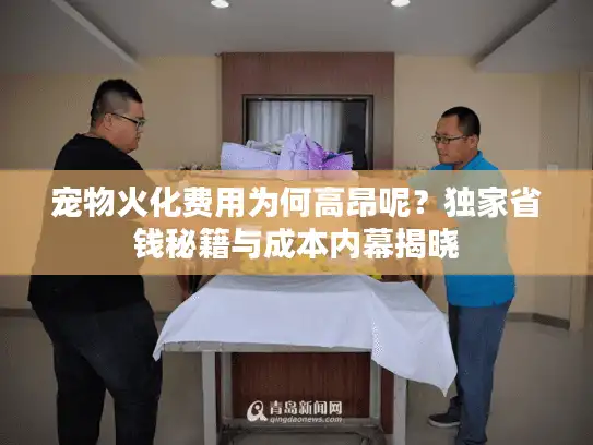 宠物火化费用为何高昂呢？独家省钱秘籍与成本内幕揭晓