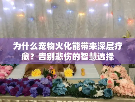 为什么宠物火化能带来深层疗愈？告别悲伤的智慧选择