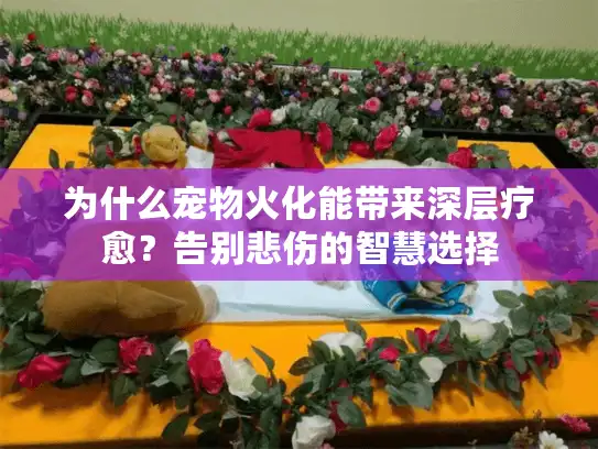为什么宠物火化能带来深层疗愈？告别悲伤的智慧选择
