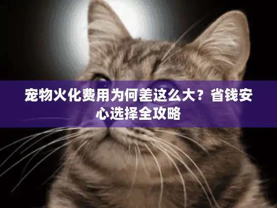 宠物火化费用为何差这么大？省钱安心选择全攻略
